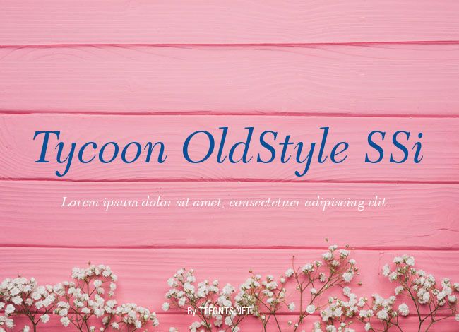Tycoon OldStyle SSi example